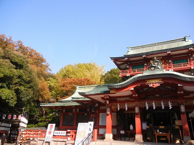 富岡八幡宮