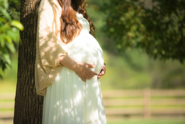 木にもたれかかる妊婦