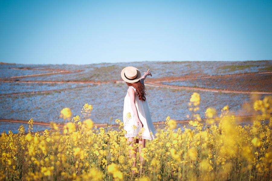 菜の花畑で空を指差すとってもポジティブな女の子