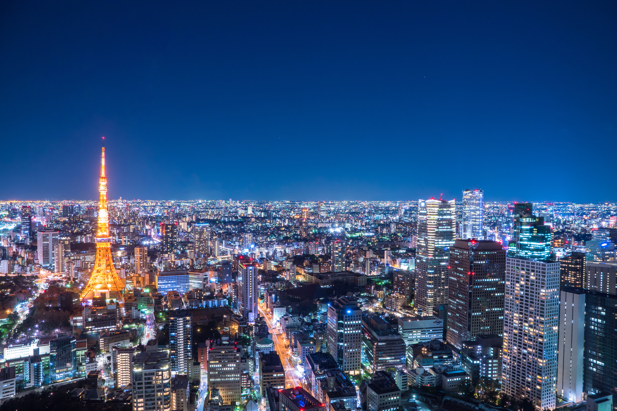 東京の夜景の様子